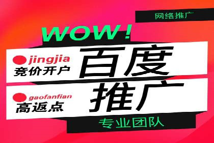 百度竞价推广公司案例：电商行业逆袭之路
